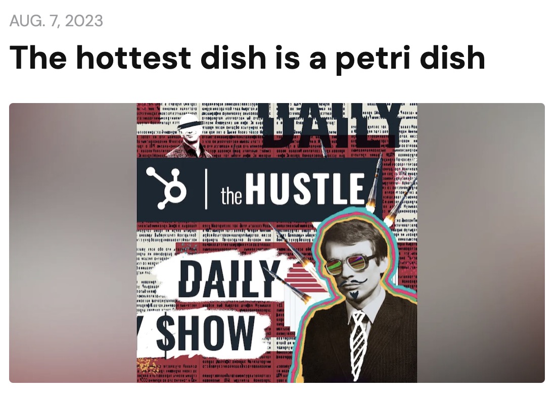Kulturfleisch im Hustle Daily Podcast